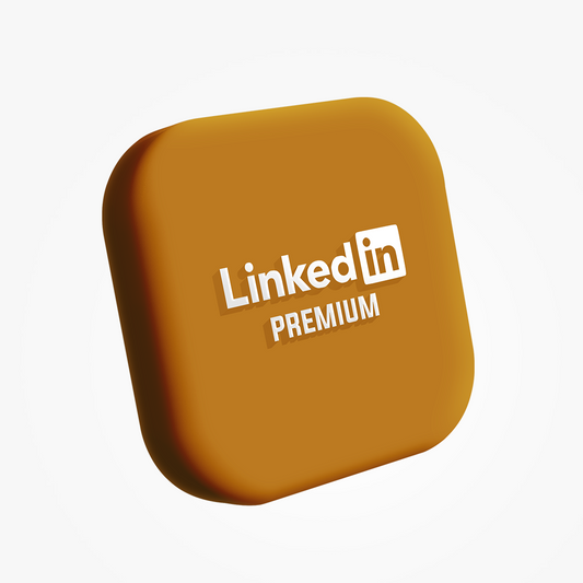 LinkedIn Premium – 12 Mois