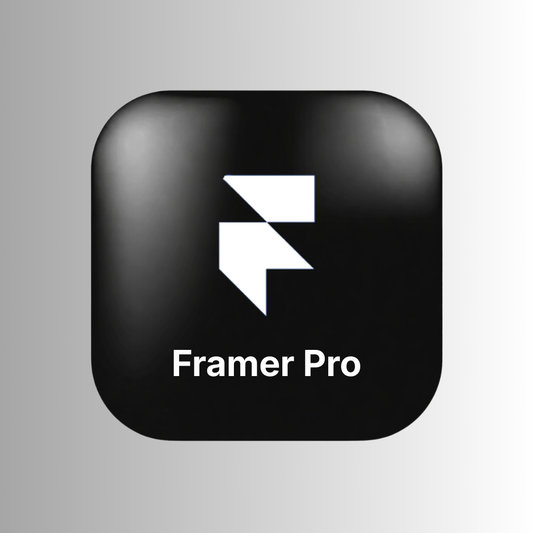 Framer Pro - 12 Mois