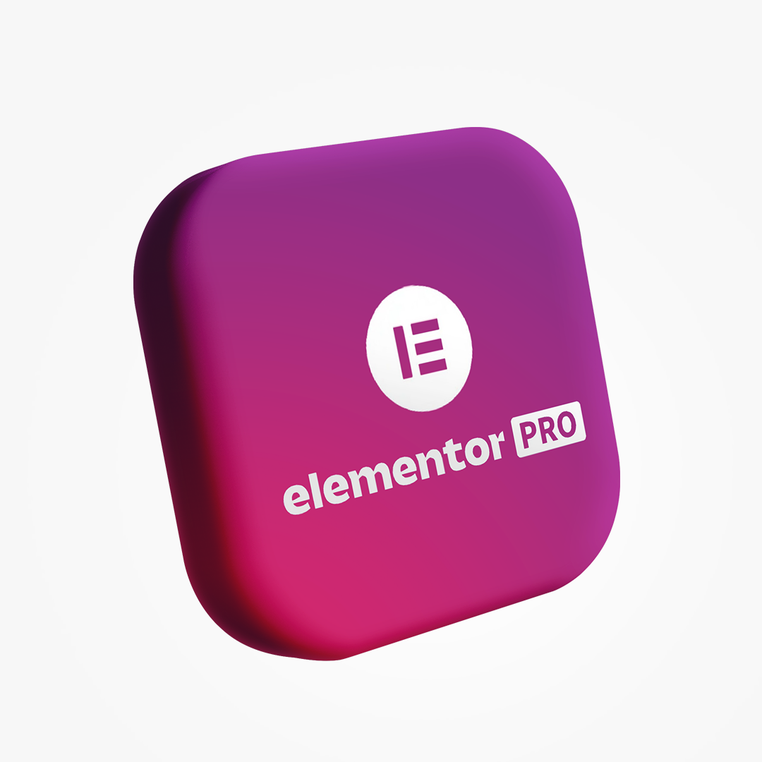 Elementor Pro - 12 Mois